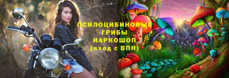 Галлюциногенные грибы ЛСД  Сатка 